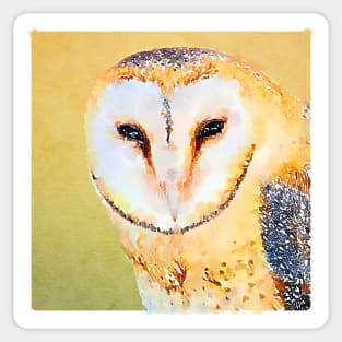 Snow Owl in Watercolor Sticker